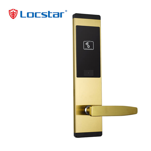 Security and useu00a0electronic entry door locks