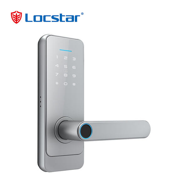 Safety of Smart Lock Door Handle