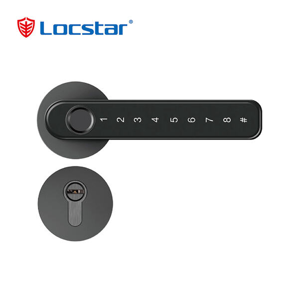 Innovation in Smart Lock Door Knobs