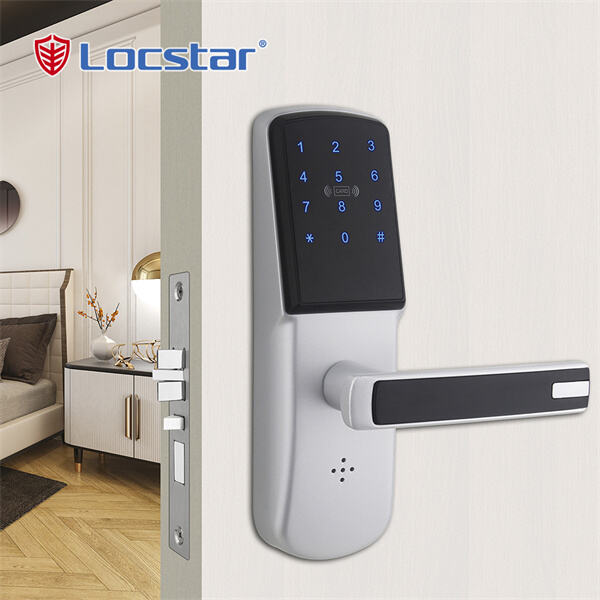 Innovation of The Electronic Front Door Lock