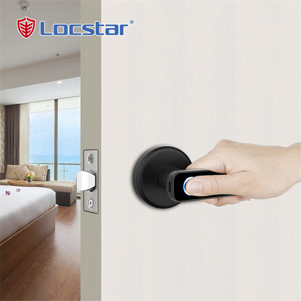 3. Innovation in Fingerprint Door Handle