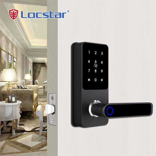 Protection Features of a Smart Lock with Handle