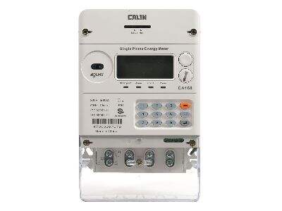 Preventing Energy Loss in Rural and Remote Areas with Smart Meters