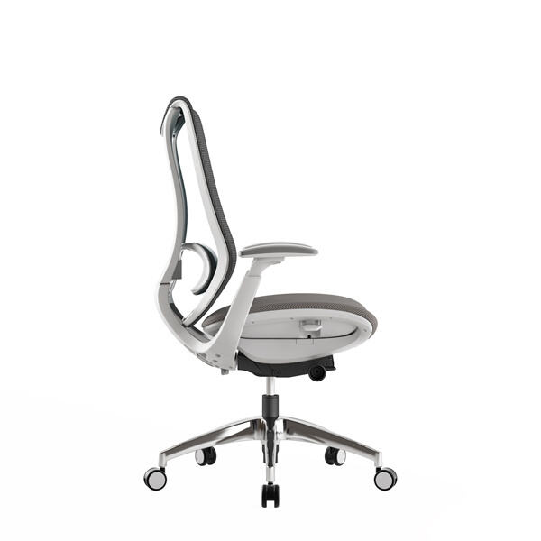 Innovation in Ergonomic Mid Back Mesh Chair