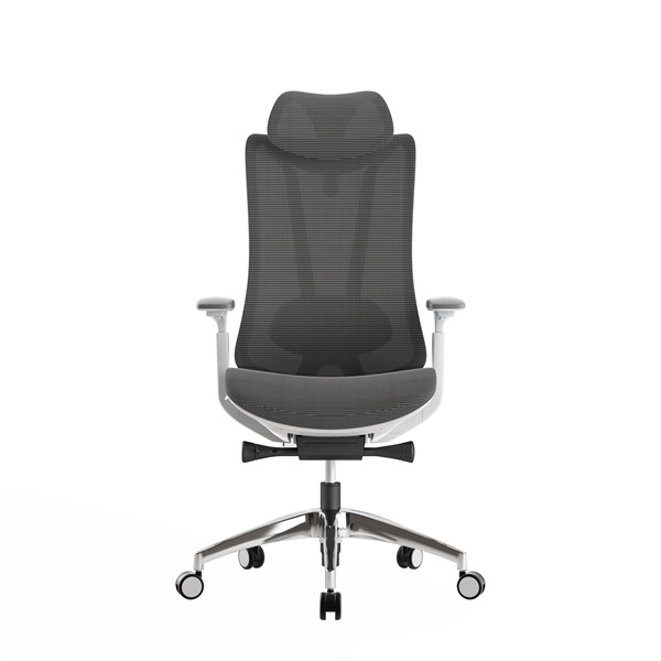 Innovation in Mesh Chair Ergonomic