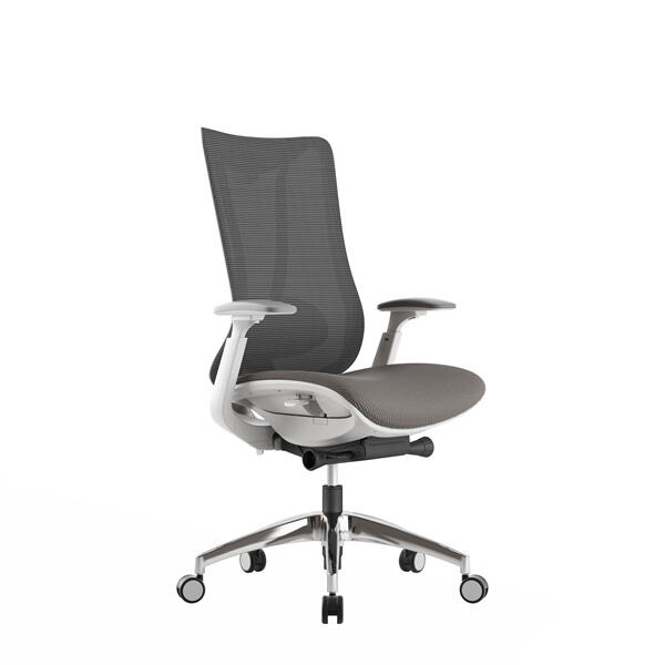 Advantages of Ergonomic Mid Back Mesh Chair