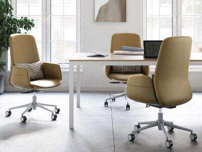 Mesh chairs with adjustable lumbar support can help reduce lower back pain.