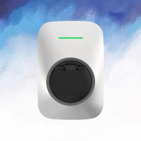 The future of electric vehicle technology