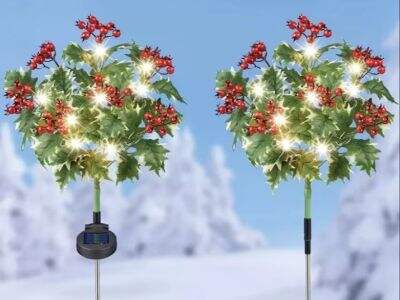 Оптимизация наружной атмосферы с помощью садовых солнечных колышков