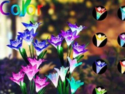 Magical Garden Nights with Solar-Powered Decor Lights