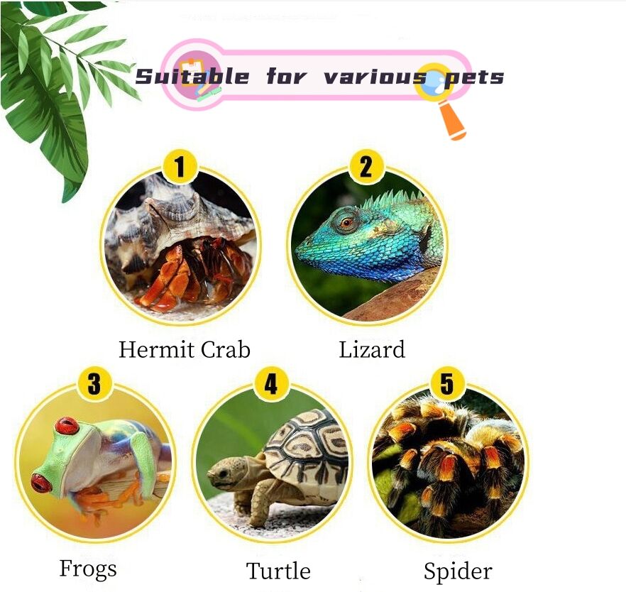 Breathable Waterproof Transparent Acrylic Pets Feeding Box Reptile Cage Breeding Box Tank for Lizards Snakes Turtles Reptiles supplier