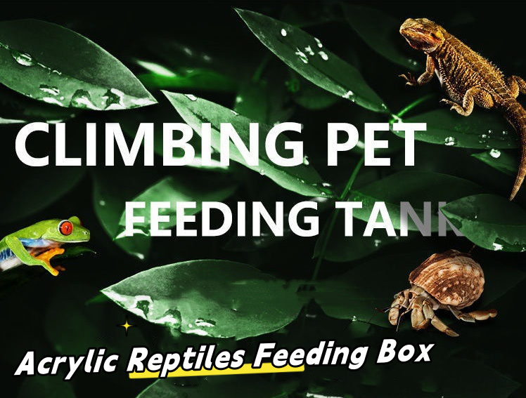 Breathable Waterproof Transparent Acrylic Pets Feeding Box Reptile Cage Breeding Box Tank for Lizards Snakes Turtles Reptiles details