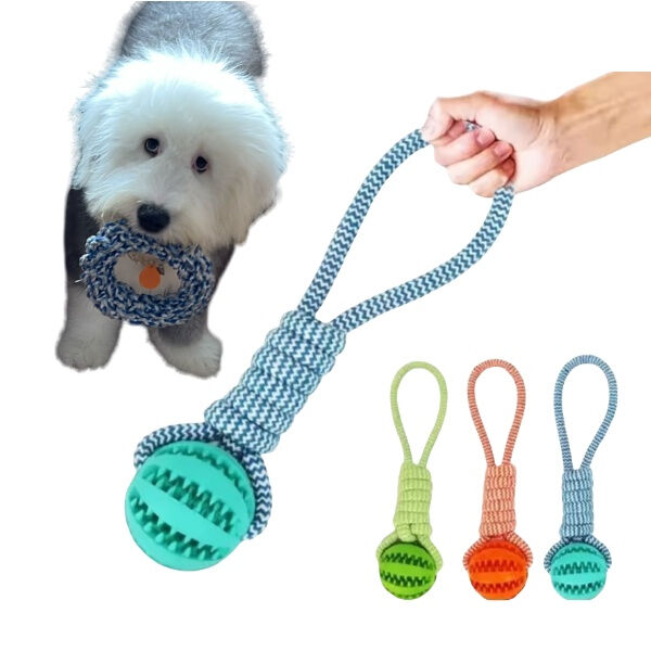 Why pet toys are important