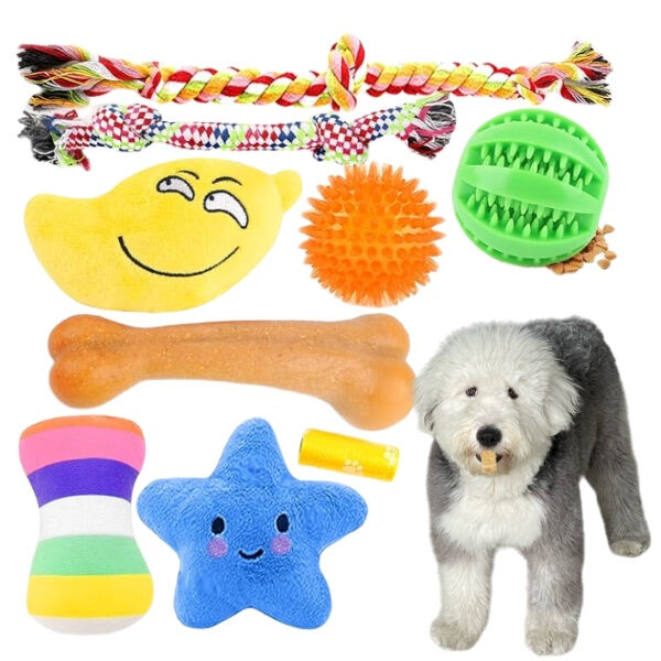 Discover the Best Toys for Dogs of All Shapes and Sizes