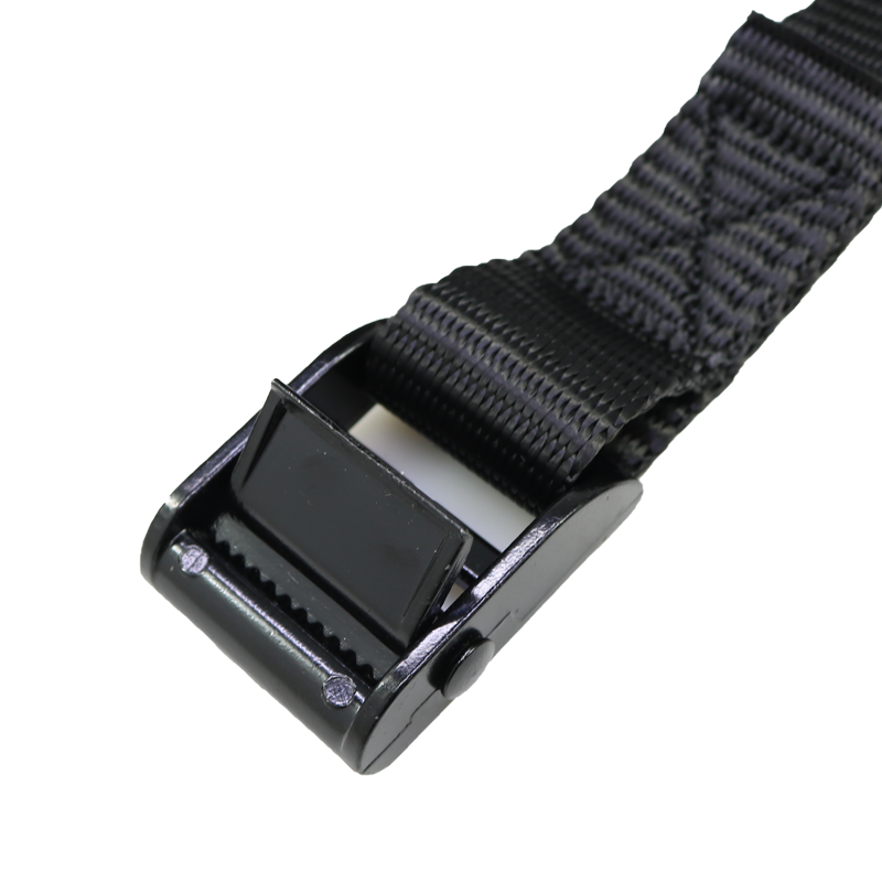 25mm cam buckle small camstrap black paint webbing tie down manufacture