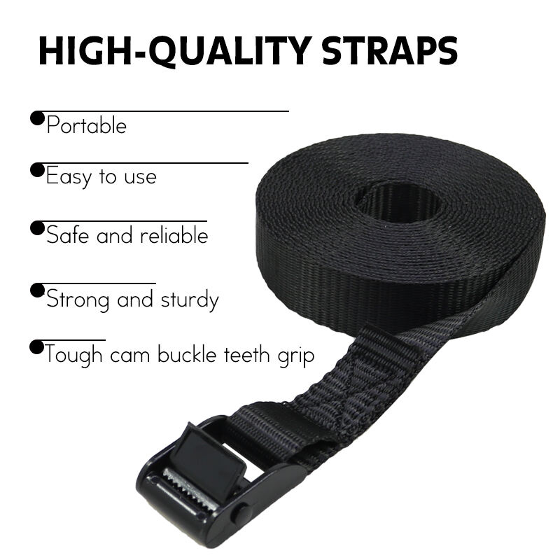 25mm cam buckle small camstrap black paint webbing tie down factory