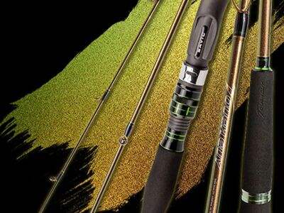 Top 10 Fishing Rods and Reels for Every Angler
