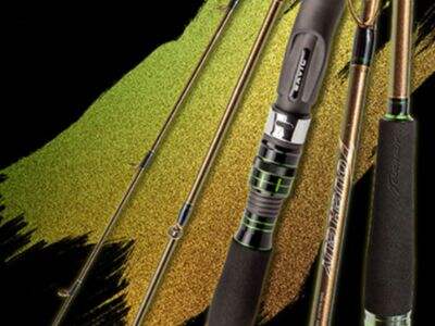 Freshwater vs Saltwater Fishing Spots Explained