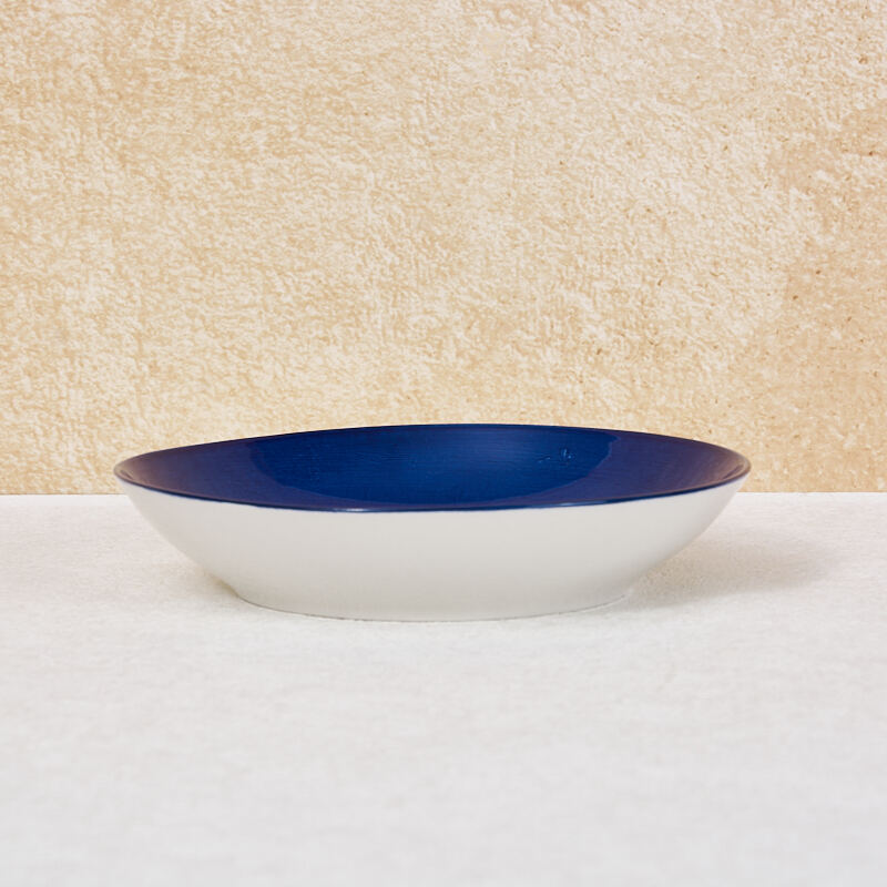 Blue Porcelain Plate Set Customizable Microwave/Oven Safe Minimalist Design Sustainable for Family Gatherings Hotels Restaurants supplier