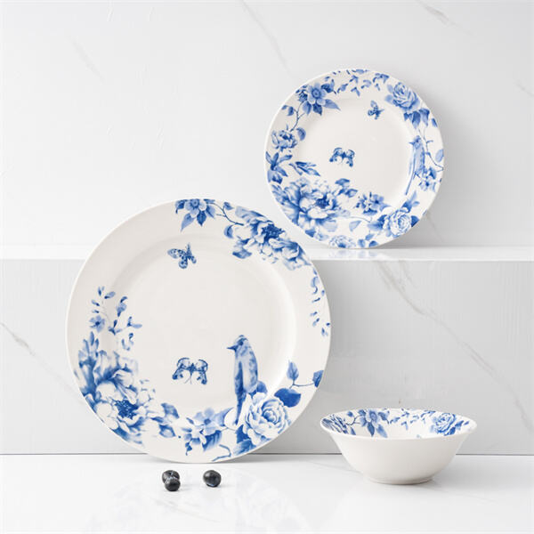 Impress Your Guests with a Coordinated Kitchen Dish Se