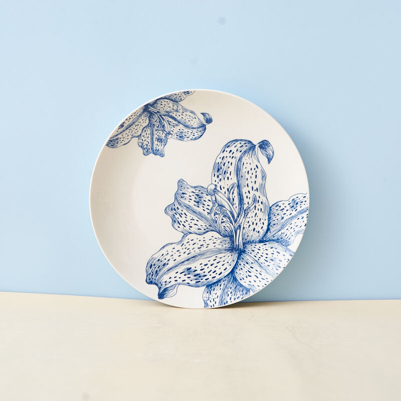 Wholesale 20-Piece Ceramic Daily Use Dinnerware Set Classic Design for Home & Hotels Includes Plates Bowls Cups supplier