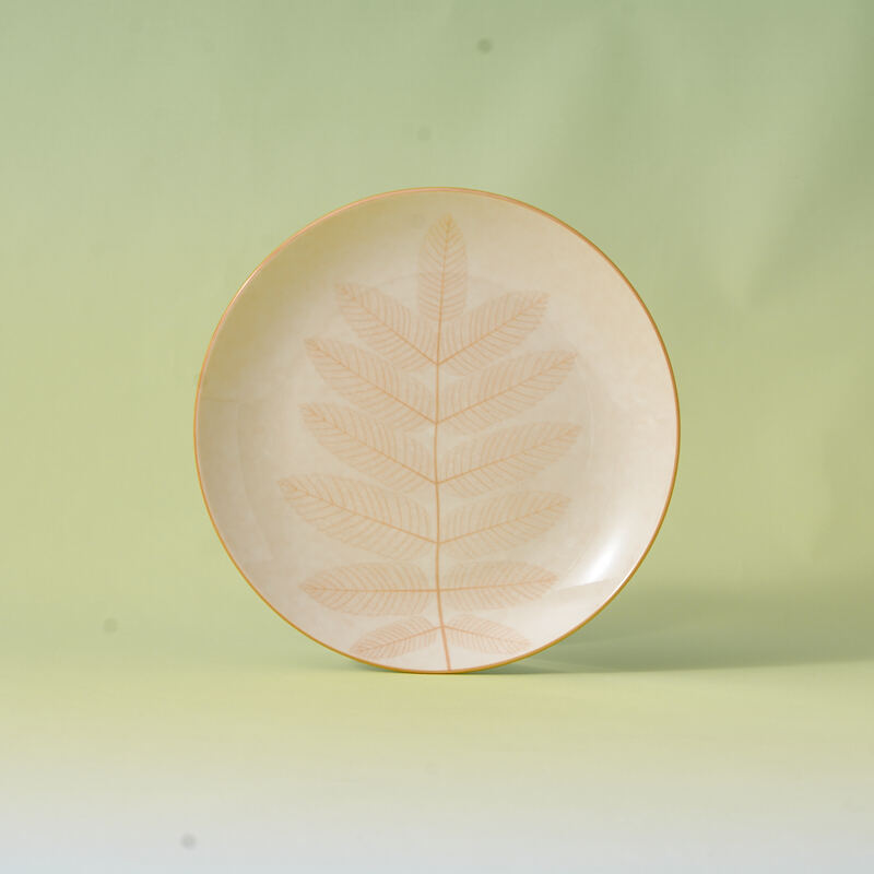 Customizable Printed Eco-Friendly Ceramic Tableware Set Includes Dinner Plate and Dining Food Storage Container manufacture