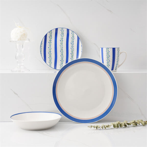 Porcelain Dishware Sets for Everyday Use