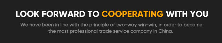 Eco-friendly Christmas Design Ceramic Dinnerware Set Customizable Porcelain Plate Set for Hotels factory