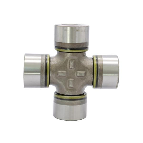 بناء الثقة والمرونة من خلال الدعم المتبادل والتعاطف