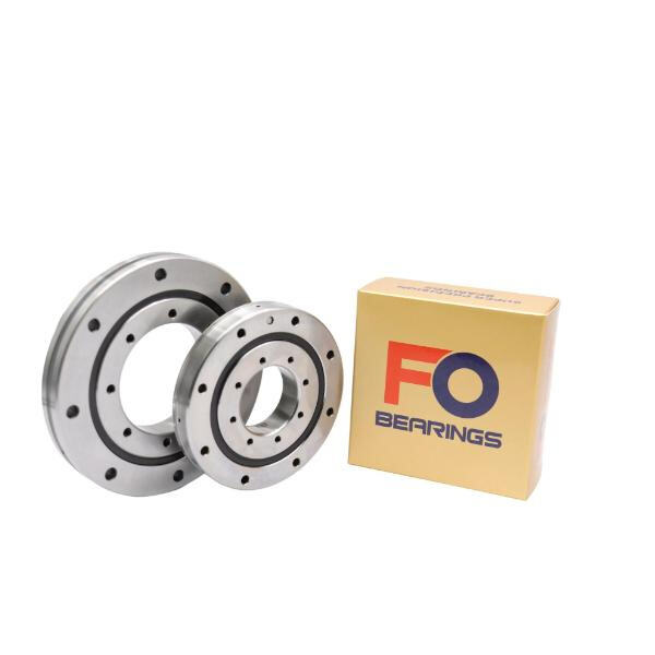 Slew Bearing Crane for Tough Jobsites