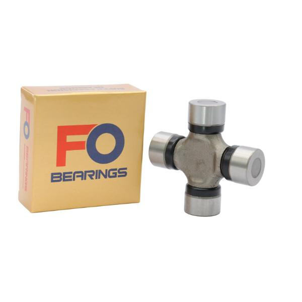 إيجاد القوة في التضامن من خلال تحمل الصليب المشترك