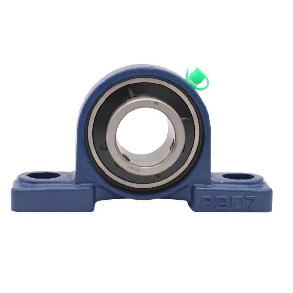 Corrosion-Resistant Stainless Pillow Block Housings