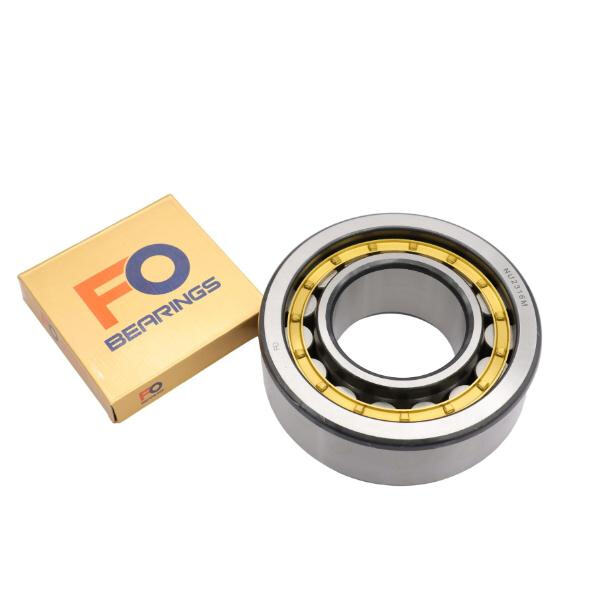 Differentiating between sealed and open design cylindrical ball bearings