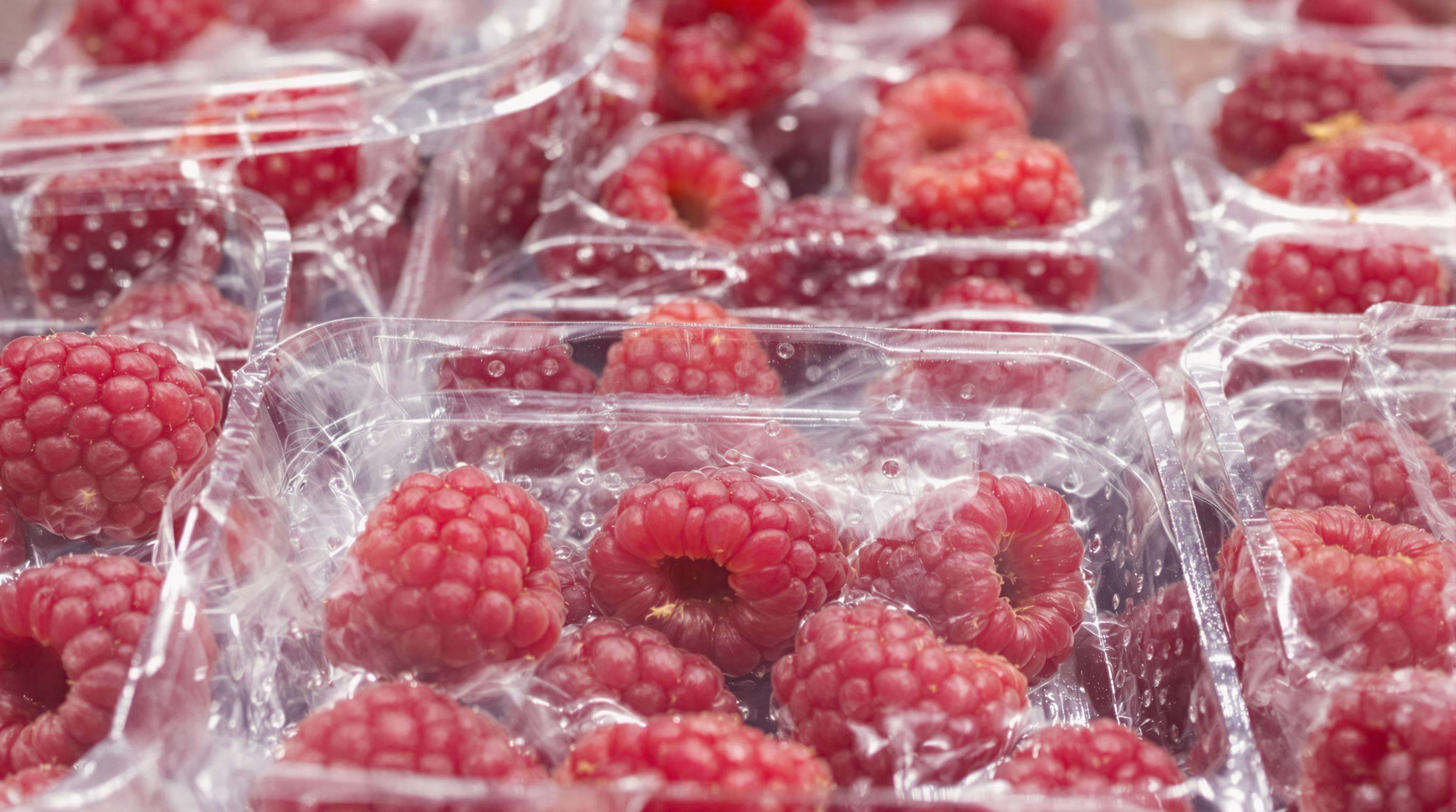 Close-up of raspberries in clear packaging with micro-perforated film showing fine holes and condensation
