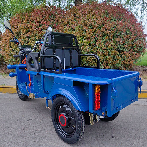 New model-mini electric cargo tricycle