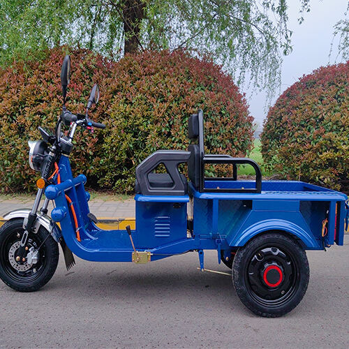 New model-mini electric cargo tricycle