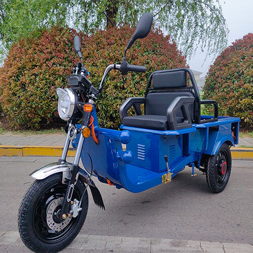 New model-mini electric cargo tricycle