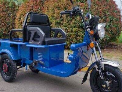 Opções de Motocicletas Elétricas de Carga Sob Medida para Distribuidores Regionais