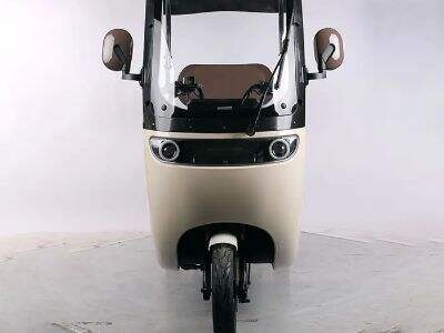 Cutting Transportation Costs with Electric Passenger Tricycles for Your Daily Life