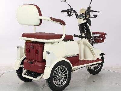 Pojazdy towarowe trzykołowe zaprojektowane do przewozu dużych partii przesyłek