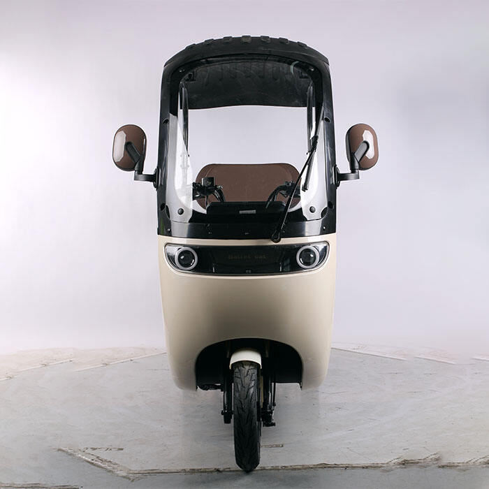 TP08  New designed electric passenger tricycle for adults