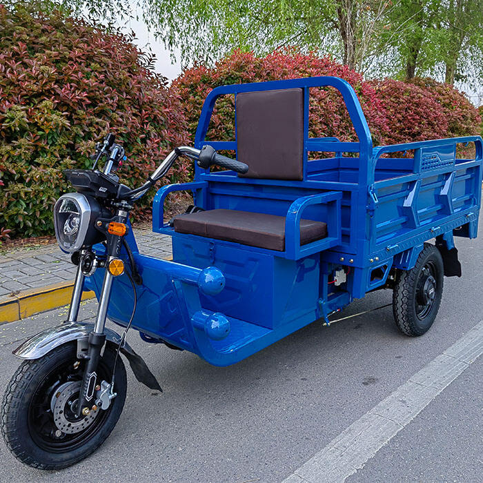 T4C CE certificated electric cargo tricycle with 1.5m cargo