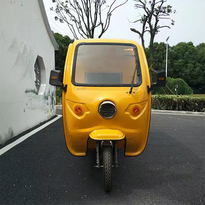 TD1500  Express delivery electric cargo tricycle with cargo box