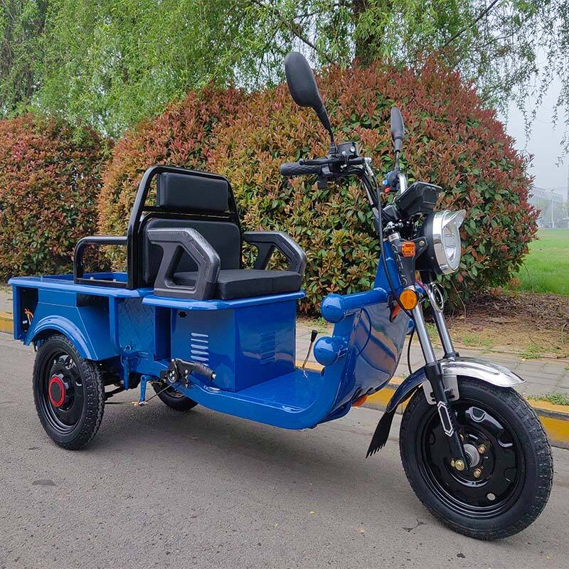 Großhandel Drei-Rad batteriebetriebenes Liefer-Elektro-Dreirad Fahrrad für Erwachsene Elektrisches Fracht-Dreirad
