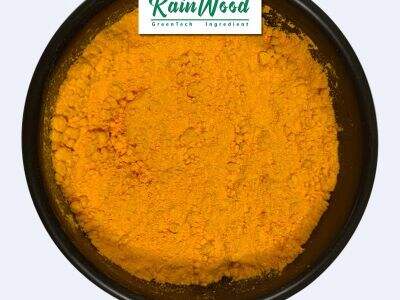 Що визначає біодоступність порошку куркуміну