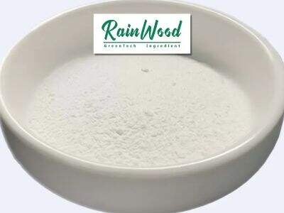 Latest Trends in Nutritional Supplements for Weight Management