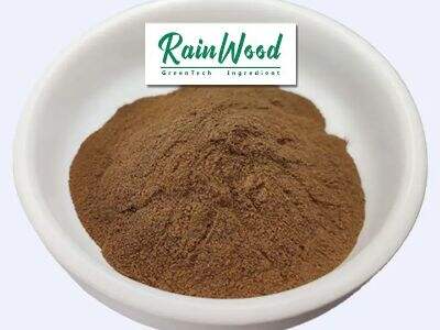 Why Plant Extracts Are Essential in Functional Food Development