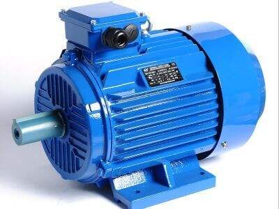The environmental benefits of upgrading to a premium asynchronous electric motor