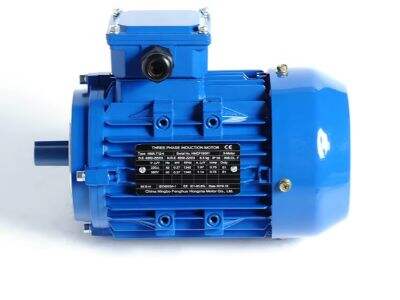 What Factors to Consider When Choosing an Asynchronous Electric Motor Manufacturer?