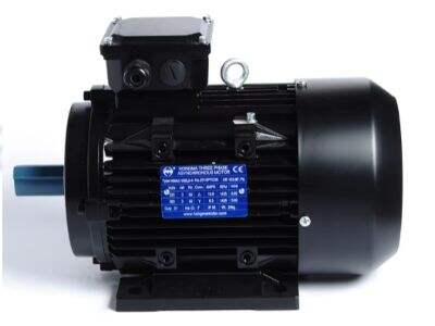 Valg af en pålidelig asynkron elektrisk motor til krævende miljøer